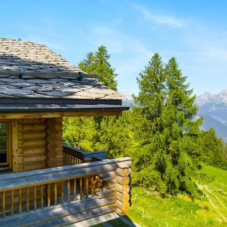 Alpenrose - 8 Pers - Avec Cachet -pres Des Pistes Chalet